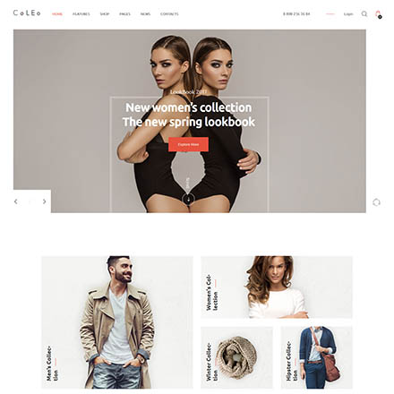 ThemeForest Coleo