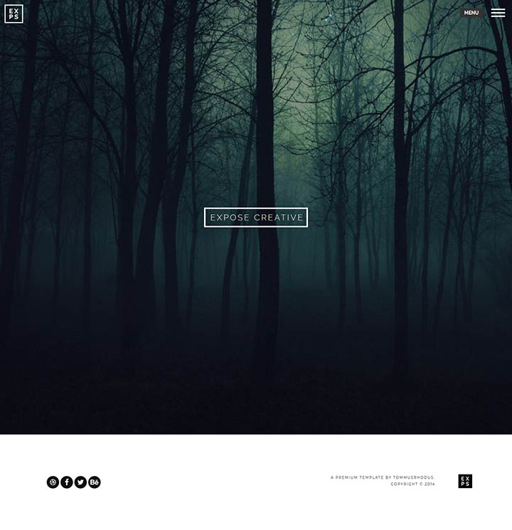 WordPress шаблон ThemeForest EXPOSE