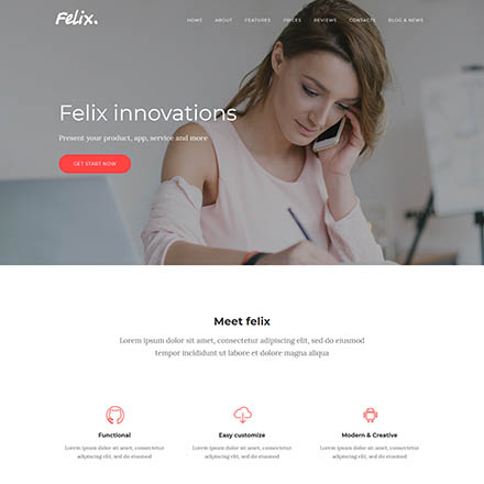 ThemeForest Felix