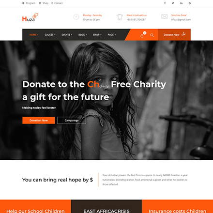 ThemeForest Huza