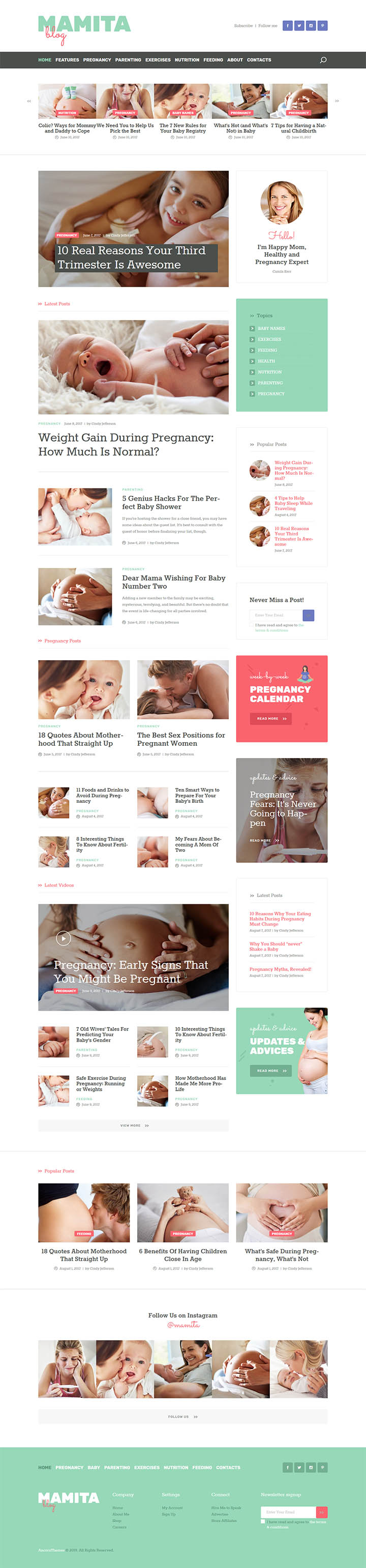 WordPress шаблон ThemeForest Mamita