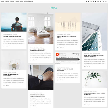 ThemeForest Myna