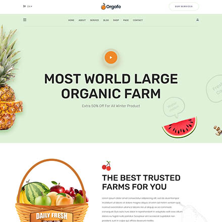 ThemeForest Orgafe