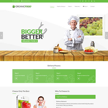 ThemeForest Organic Food