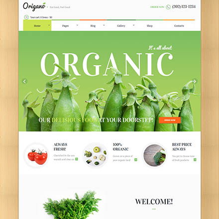 ThemeForest Origano