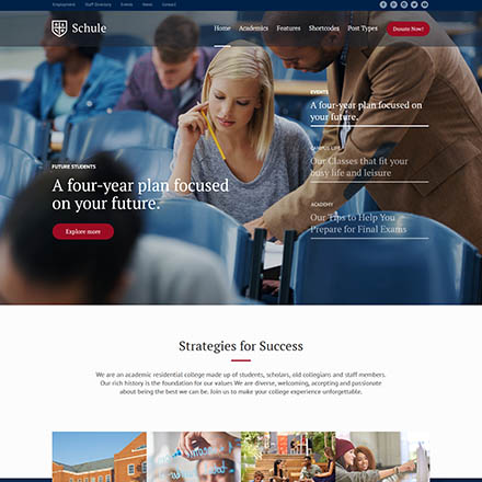 ThemeForest Schule