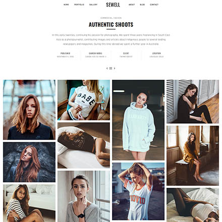 ThemeForest Sewell