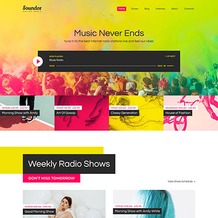 ThemeForest Sounder