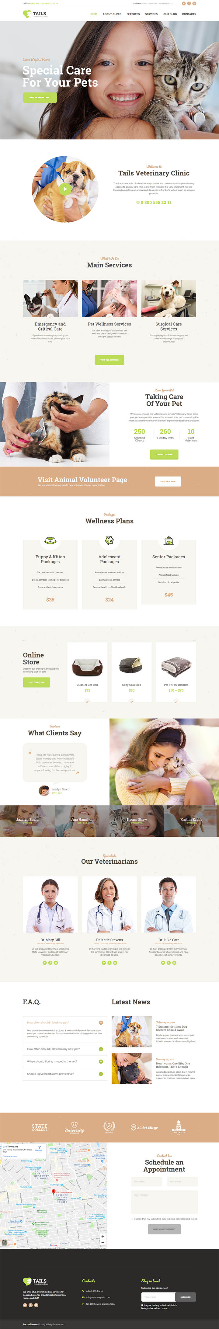 WordPress шаблон ThemeForest Tails