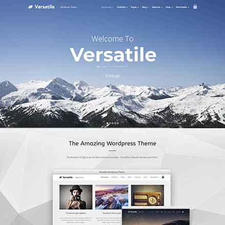 ThemeForest Versatile