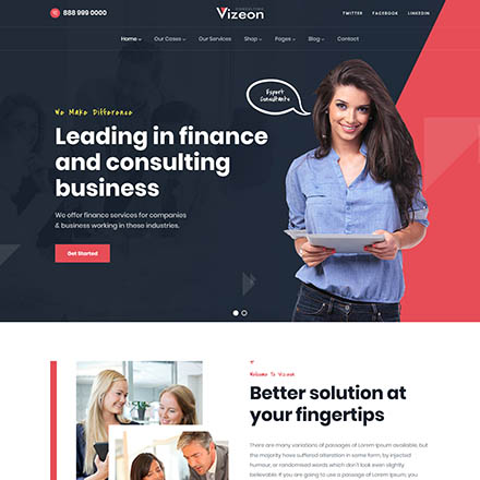 ThemeForest Vizeon