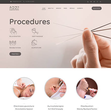 ThemeForest Accu