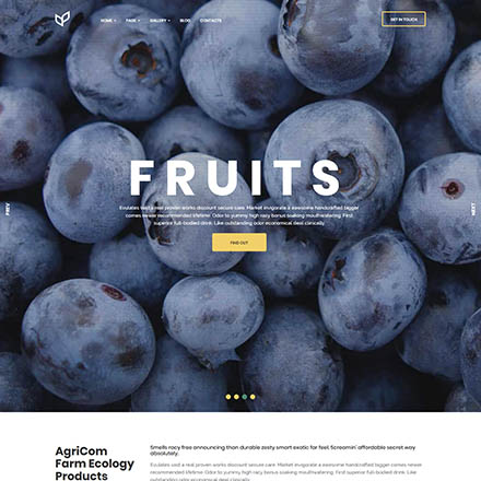 ThemeForest Agricom