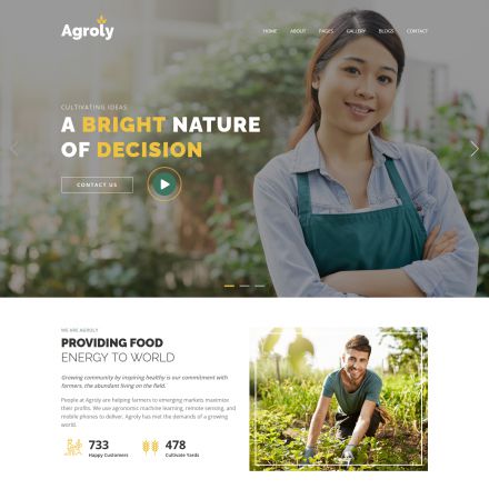 ThemeForest Agroly