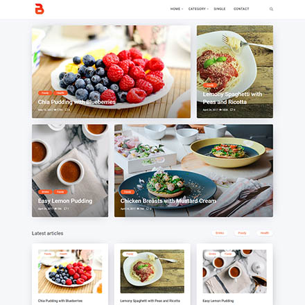 ThemeForest Bizi