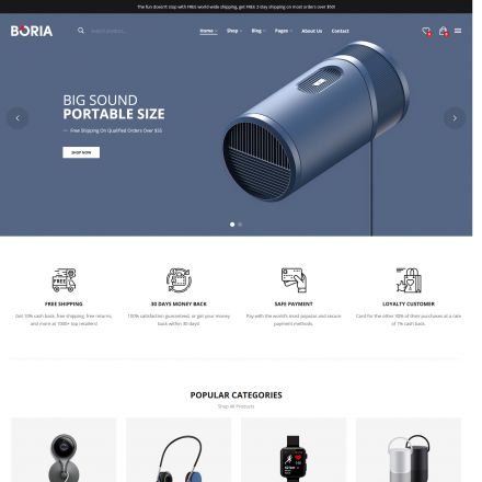 ThemeForest Boria