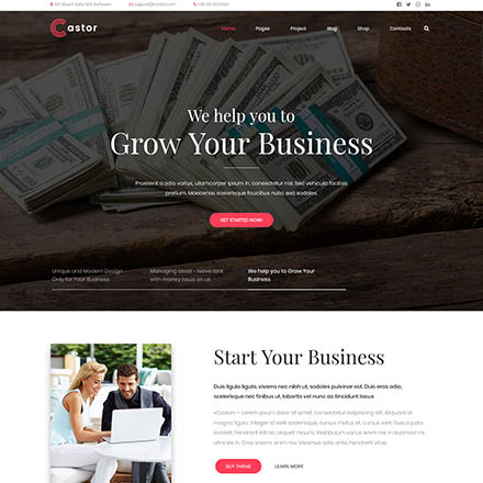 ThemeForest Castor