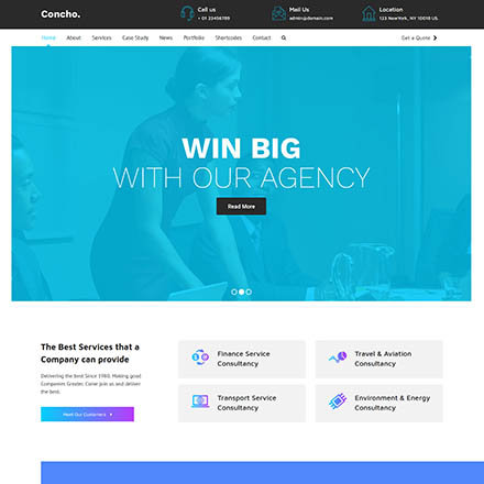 ThemeForest Concho