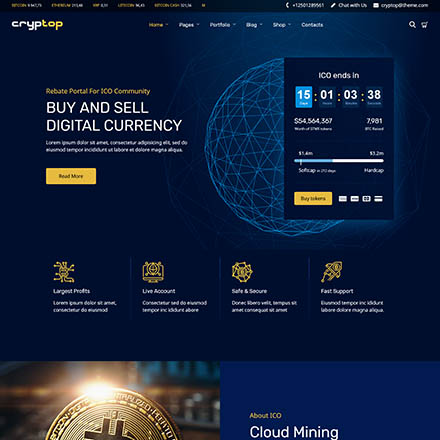 ThemeForest CrypTop