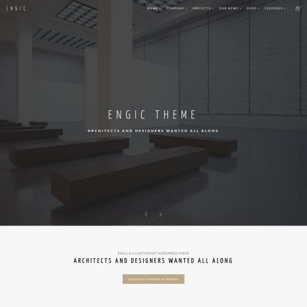 ThemeForest Engic