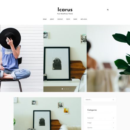 ThemeForest Icarus