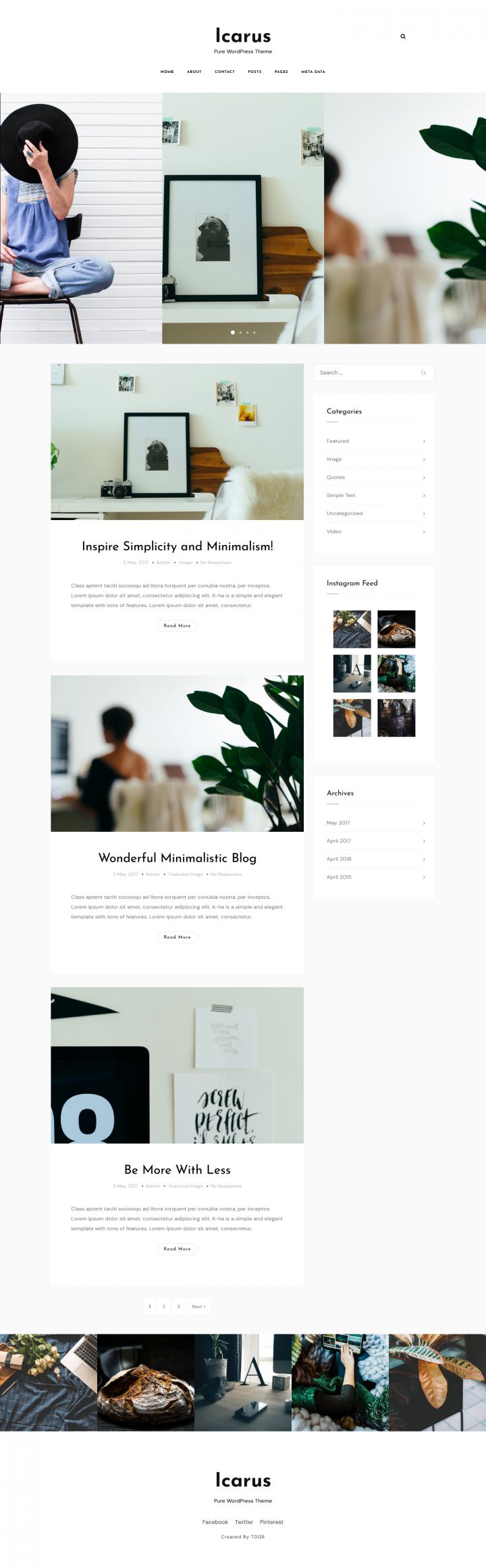 WordPress шаблон ThemeForest Icarus