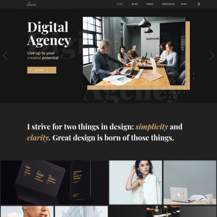 ThemeForest Louie