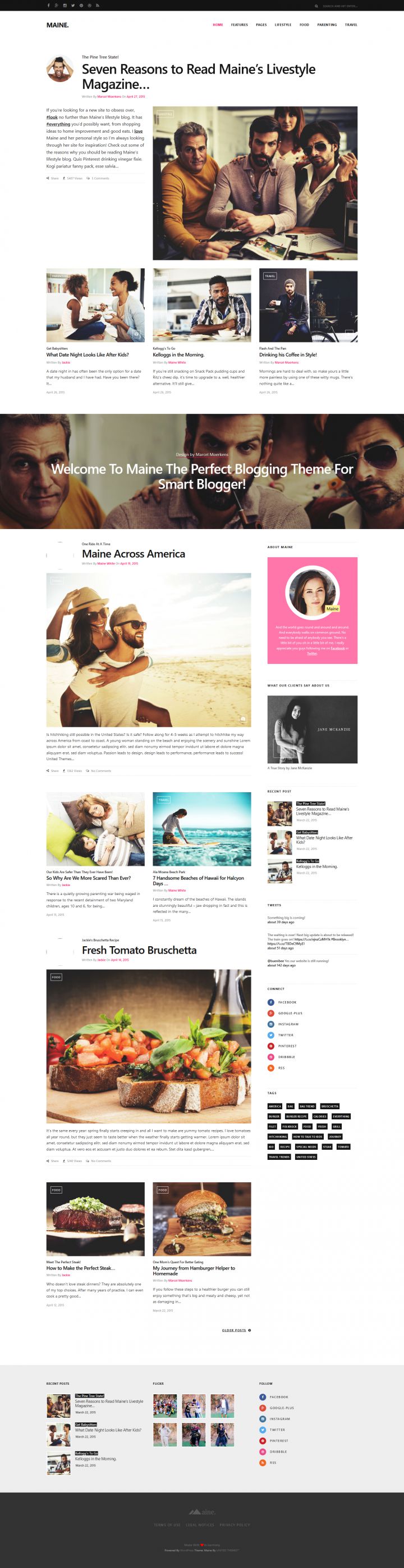 WordPress шаблон ThemeForest Maine