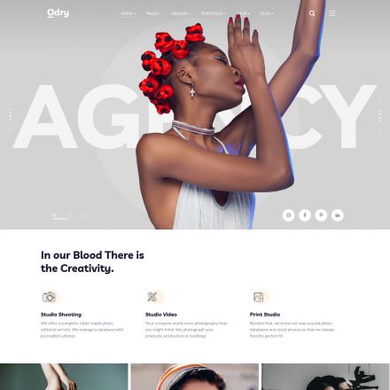 ThemeForest Odry