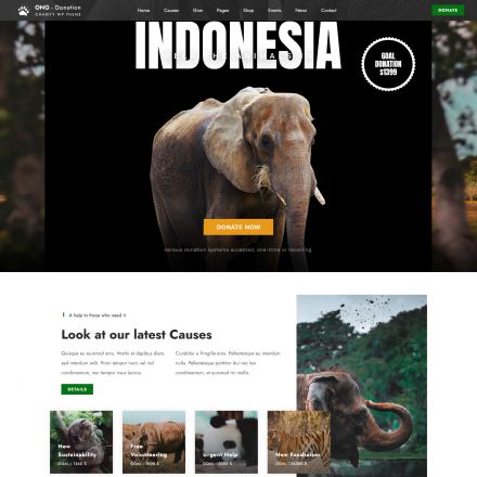 ThemeForest Ngo