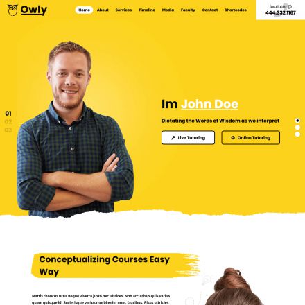 ThemeForest Owly