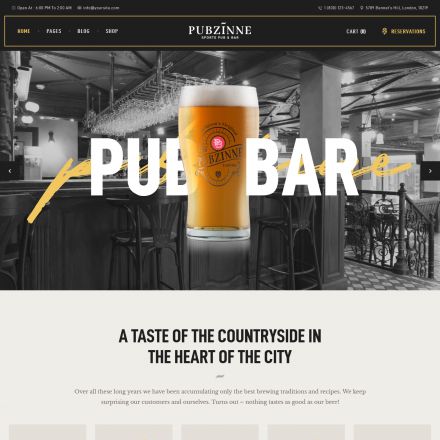 ThemeForest Pubzinne