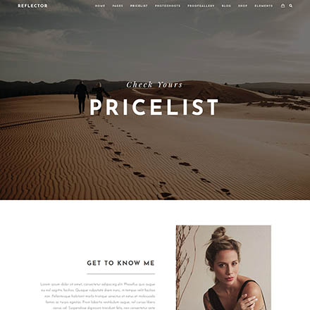 ThemeForest Reflector