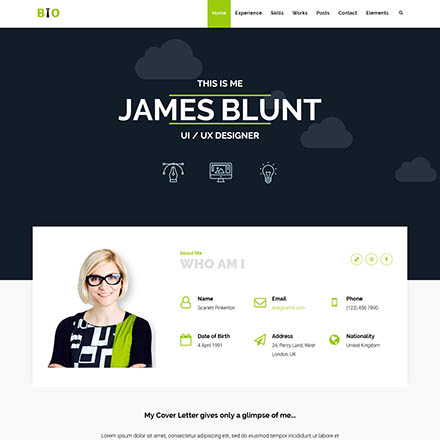 ThemeForest Resume