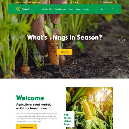 ThemeForest Seodo