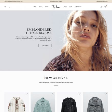 ThemeForest Terina