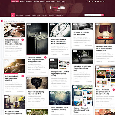 ThemeForest Wine Masonry