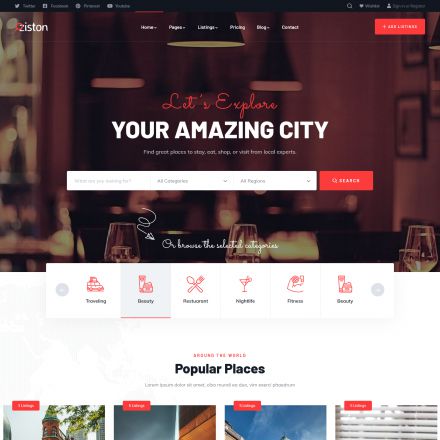 ThemeForest Ziston