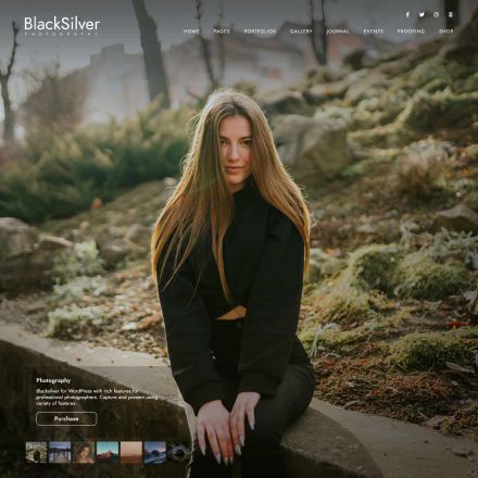 ThemeForest Blacksilver