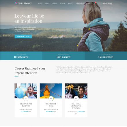 ThemeForest Born To Give