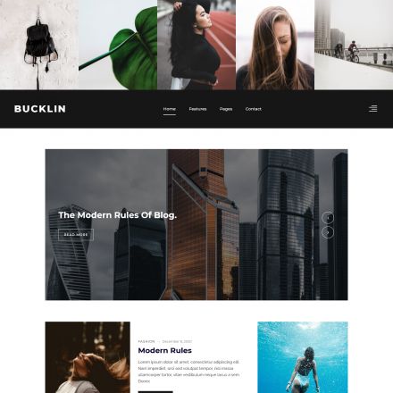 ThemeForest Bucklin