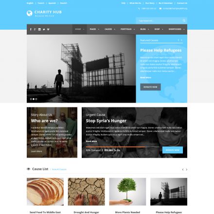 ThemeForest Charity Hub