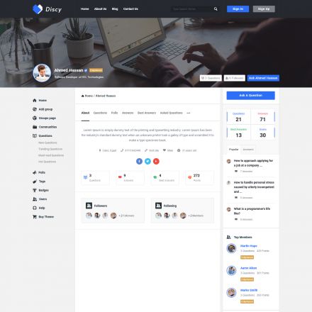 ThemeForest Discy