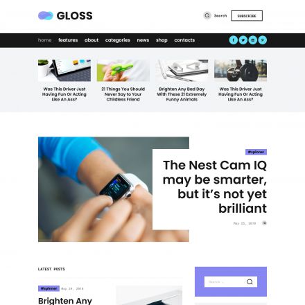 ThemeForest Gloss