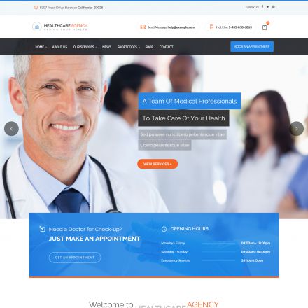 ThemeForest Health Care