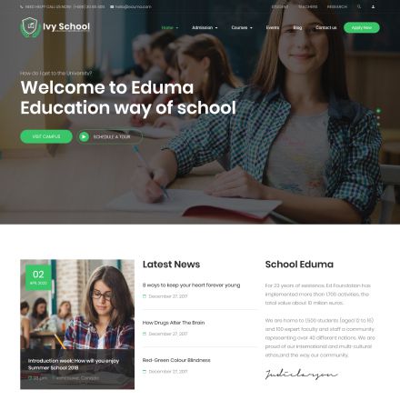 ThemeForest Ivy School