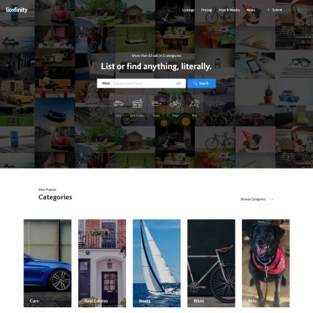 ThemeForest Lisfinity