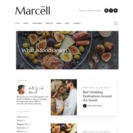 ThemeForest Marcell