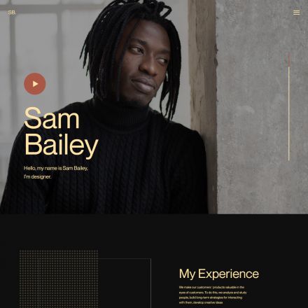 ThemeForest Sam Bailey