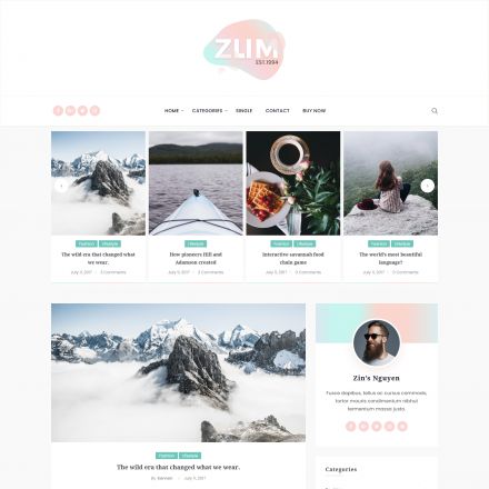 ThemeForest ZUM